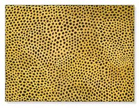 Yayoi Kusama - Infinity-nets (Orusb)