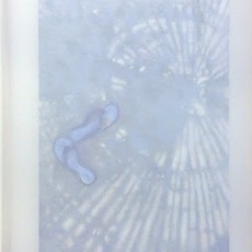 Martine Poppe