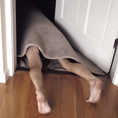 Lee Materazzi