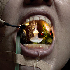 Judith Egger