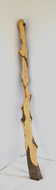 David Nash, ‘Scalloped Leaner’, 2012, Sculpture, Holly, Annely Juda Fine Art