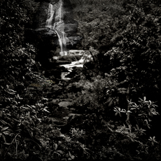 Caio Reisewitz