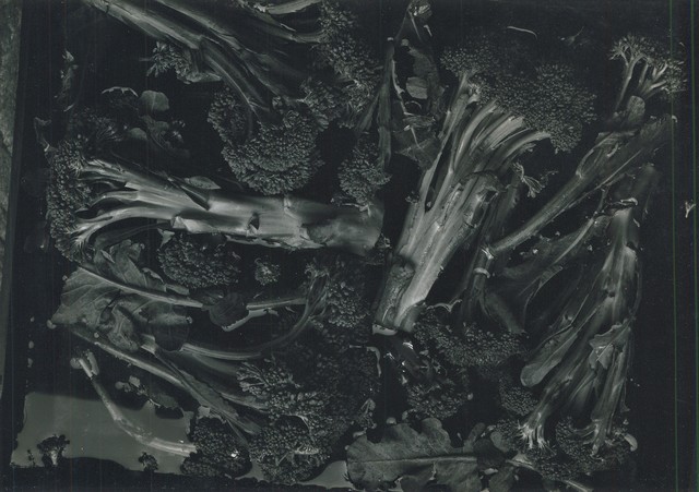 Ron Stark, ‘Untitled (Still Life with Broccoli)’, 1972, Washington Color