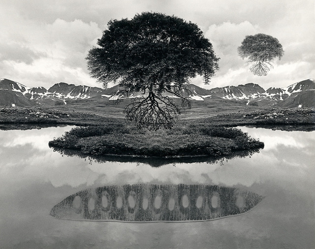 Jerry Uelsmann, ‘Untitled, 1969’, 1969, Pictura Gallery