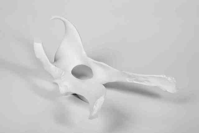 Bevan Ramsay, ‘Bone China #5’, 2007, Art Mûr