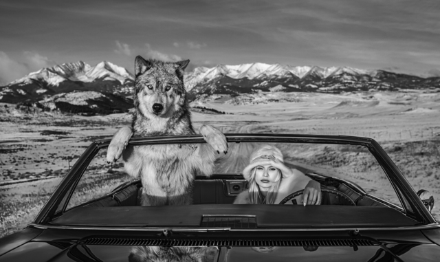 David Yarrow, ‘Once Upon a Time in the West’, ca. 2019, Samuel Lynne Galleries