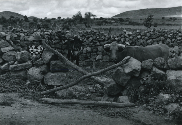 Antonio Reynoso, ‘Rural Scene with Bulls and Peasant’, ca. 1975, Be-hold