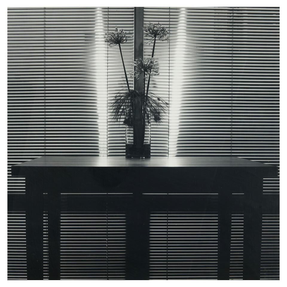 Robert Mapplethorpe - Flower