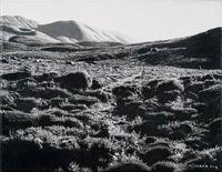 Landschaft