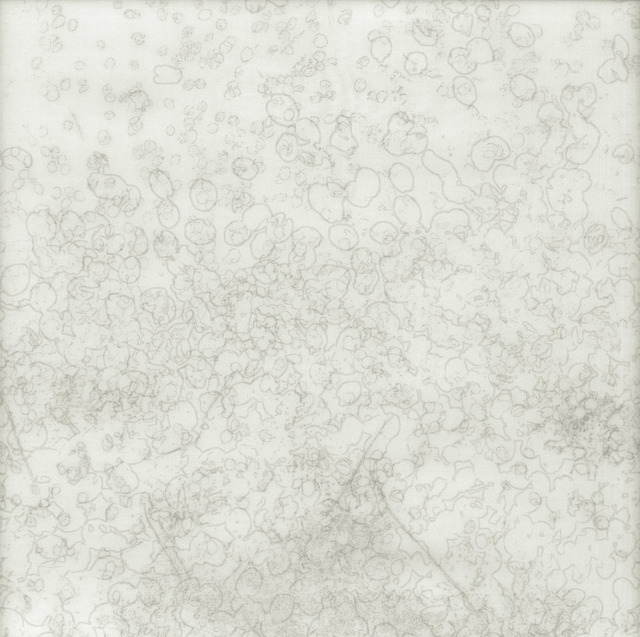 Chaco Terada, ‘White Sigh IV’, 2014, photo-eye Gallery