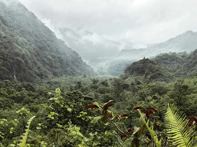 Guy Tillim, ‘Tahiti’, 2011, Stevenson