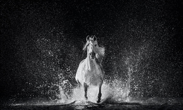 David Yarrow, ‘The Shape of Water’, 2020, Photography, Archival Pigment Print, Samuel Lynne Galleries
