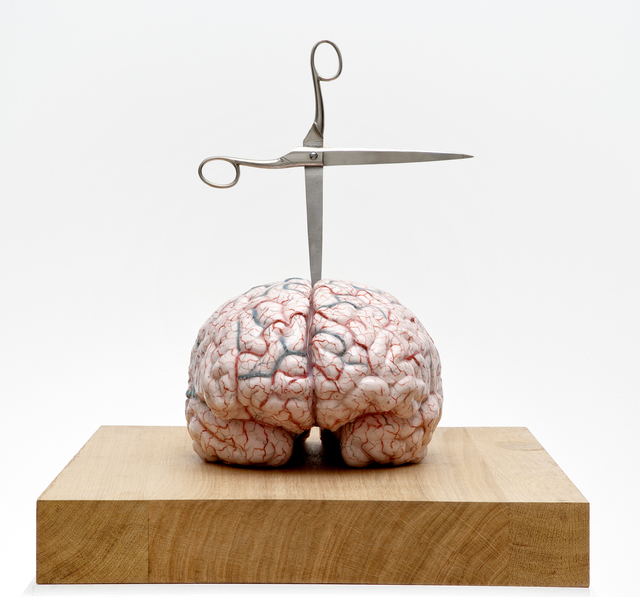 Jan Fabre, ‘Brain with Star’, 2012, Studio Trisorio