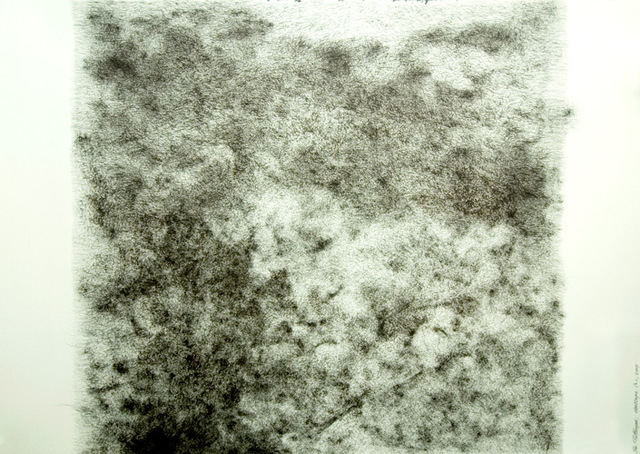 Be Takerng Pattanopas, ‘Hairscape No.1’, 2008, Tally Beck Contemporary