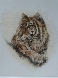 big cat