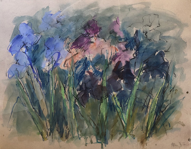 Mary Page Evans, ‘Goodstay Iris’, 2010, Somerville Manning Gallery