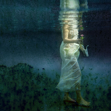 Kathleen Wilke