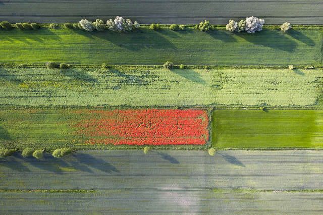Kacper Kowalski, ‘Seasons, Spring #04, Side Effects’, 2011, Photography, Archival pigment print on aluminum dibond, Galerie XII