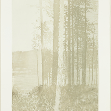 Paul Winstanley