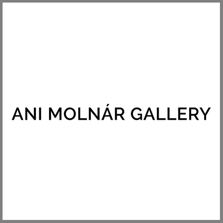 Ani Molnár Gallery logo