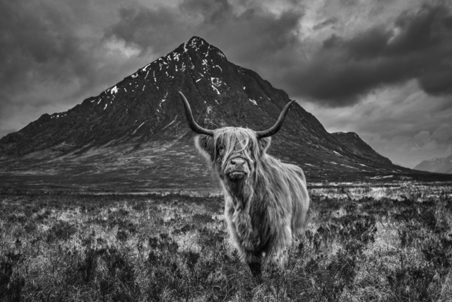 David Yarrow, ‘Glencoe’, 2019, Fineart Oslo