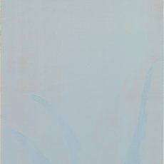 Sarah Pater
