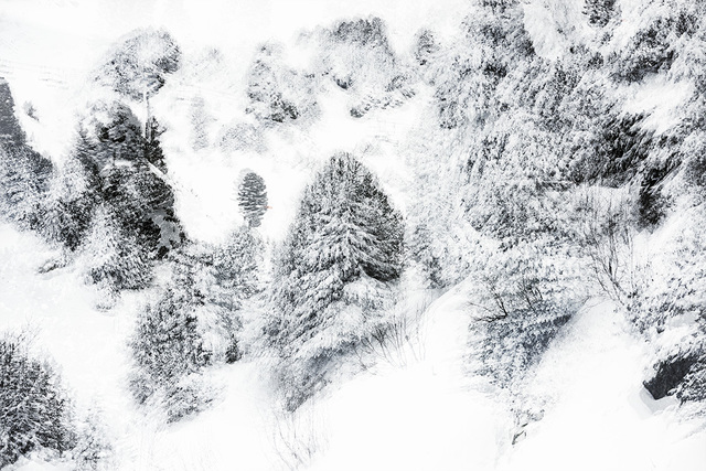 Eric Bourret, ‘Walk- Landscape 10 - France’, 2016, Sapar Contemporary