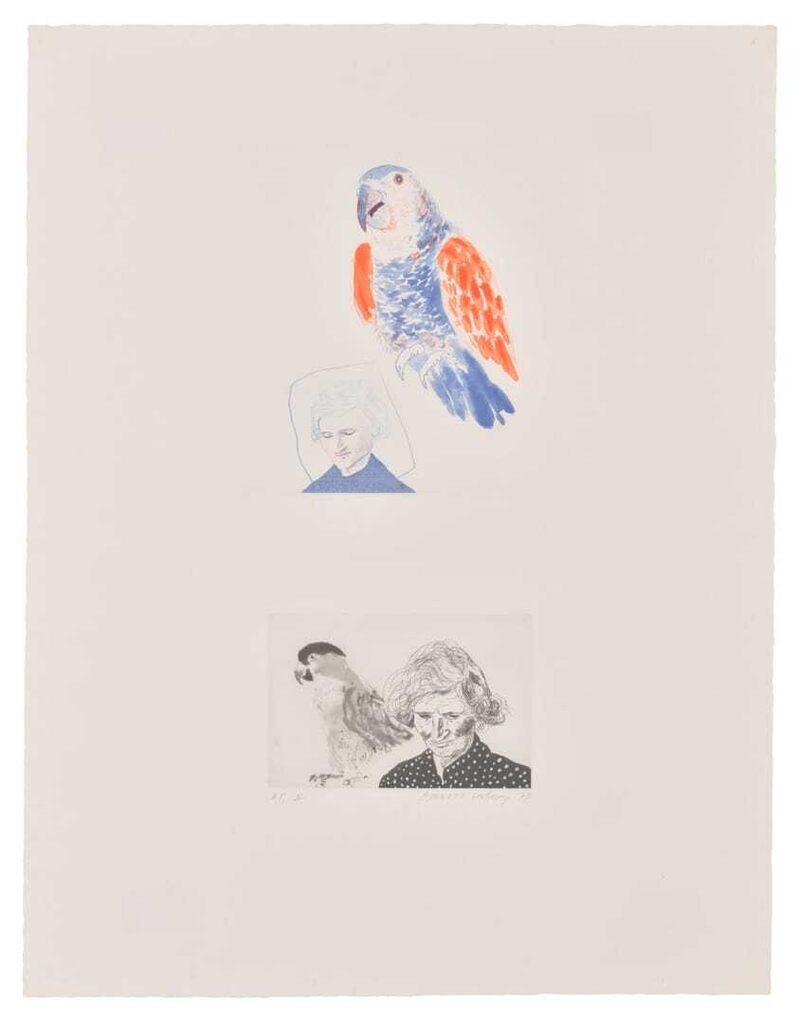 David Hockney - My Mother with a Parrot