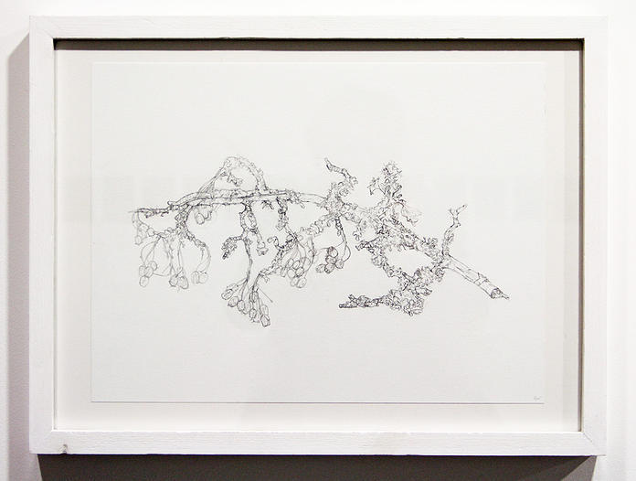 LEO
Twig Study - Hawthorne III
2014
Pencil on paper
40 x 30 cm LEO
Twig Study - Hawthorne III
2014
Pencil on paper
40 x 30 cm