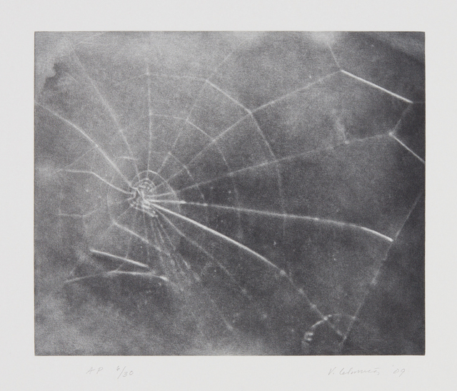 Vija Celmins, ‘Untitled (Web #5)’, 2009, Print, Mezzotint, on Hahnemühle paper, with full margins, Phillips