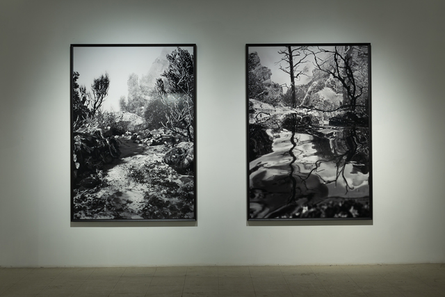 Holly King, ‘Pathway to an Illusion’, 2012, Art Mûr