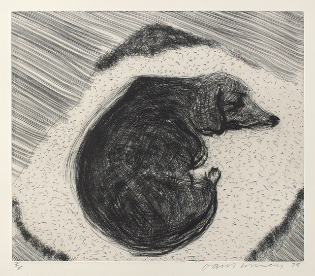 David Hockney, ‘Dog Wall No.3, from Dog Wall’, 1998, Phillips