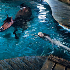 Steven Klein