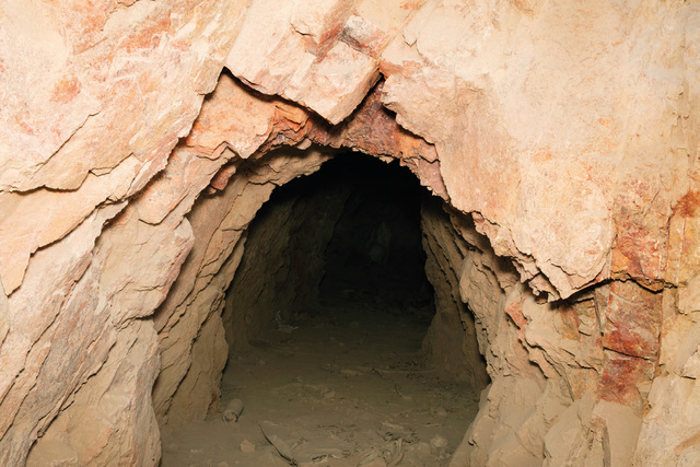 Lisa Barnard, ‘Artisan gold mining tunnel, Andes, Peru’, 2016, Flowers