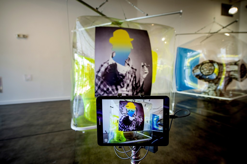 Michael Rees, Synth Cell 006 Gradient Clown, Ant, 2017-18, air-inflated PVC vinyl, ink jet print on vinyl, steel, augmented reality app, 2.4 x 2.4 x 2.4 meters, collection of the artist, photo: Ken Ek; Michael Rees, Synth Cell 007 Stone, Tapping Feet, 2017-18, air-inflated PVC vinyl, ink jet print on vinyl, steel, augmented reality app, 2.8 x 2.8 x 2.8 meters, collection of the artist, photo: Ken Ek Michael Rees, Synth Cell 006 Gradient Clown, Ant, 2017-18, air-inflated PVC vinyl, ink jet print on vinyl, steel, augmented reality app, 2.4 x 2.4 x 2.4 meters, collection of the artist, photo: Ken Ek; Michael Rees, Synth Cell 007 Stone, Tapping Feet, 2017-18, air-inflated PVC vinyl, ink jet print on vinyl, steel, augmented reality app, 2.8 x 2.8 x 2.8 meters, collection of the artist, photo: Ken Ek