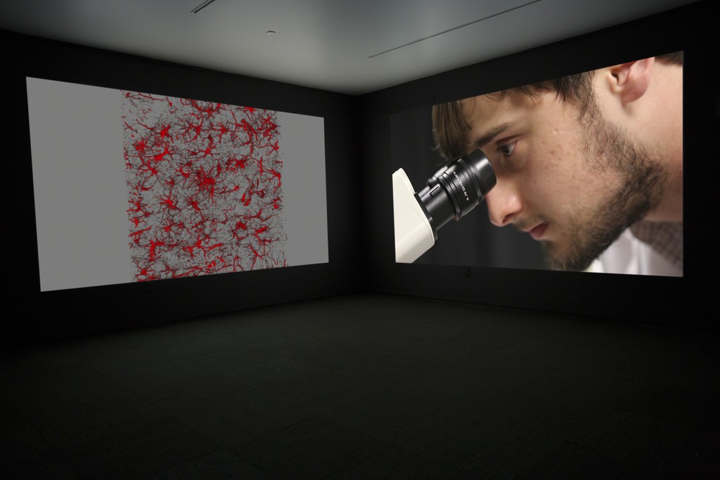 JANET BIGGS
The Persistence of Hope (video still)
2015, two-channel high definition video installation (sound, color), run time: 7:24.
With Arctic footage from Katja Aglert's Winter Event-antifreeze, 2009 (filmed by Janet Biggs). JANET BIGGS
The Persistence of Hope (video still)
2015, two-channel high definition video installation (sound, color), run time: 7:24.
With Arctic footage from Katja Aglert's Winter Event-antifreeze, 2009 (filmed by Janet Biggs).