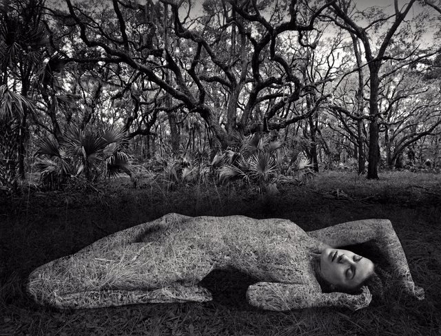 Jerry Uelsmann, ‘Untitled’, 1983, Fabian & Claude Walter