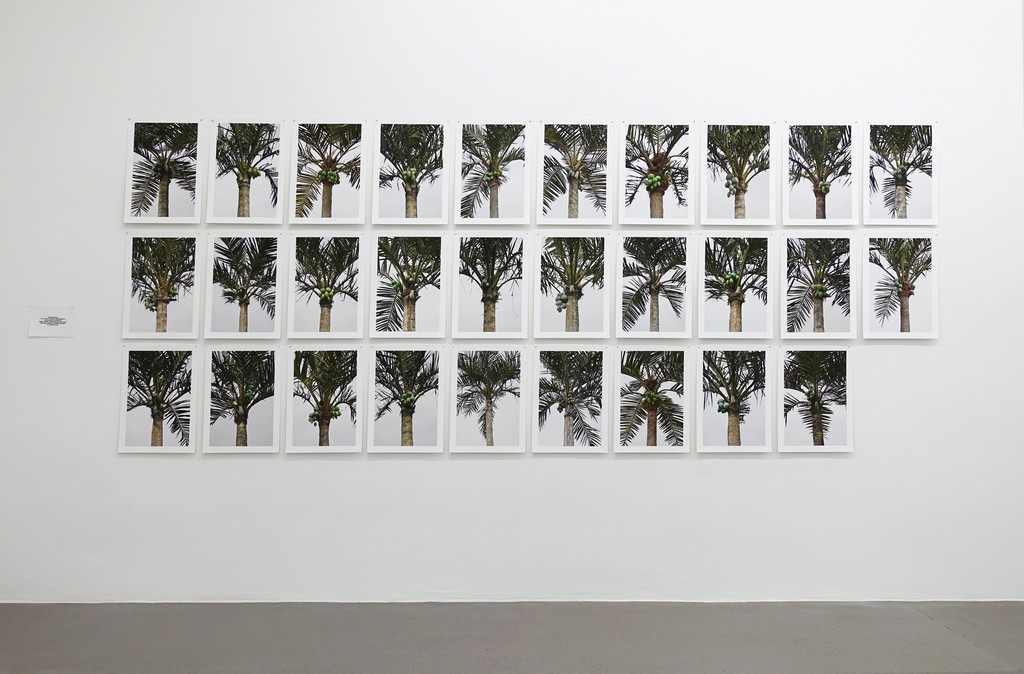 BETALAND Sascha Weidner, 29 Fake Palm Trees, 2014 BETALAND Sascha Weidner, 29 Fake Palm Trees, 2014