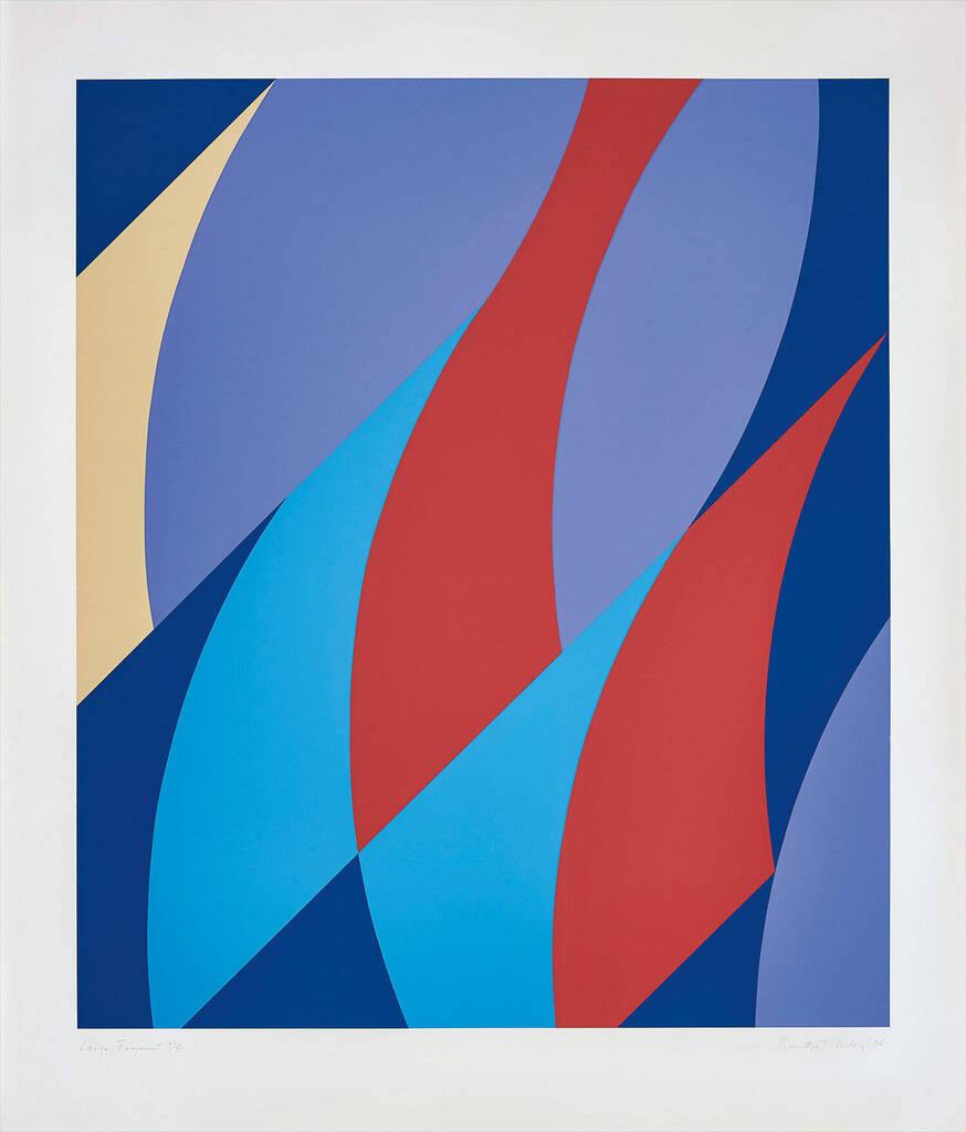 Bridget Riley - Large Fragment