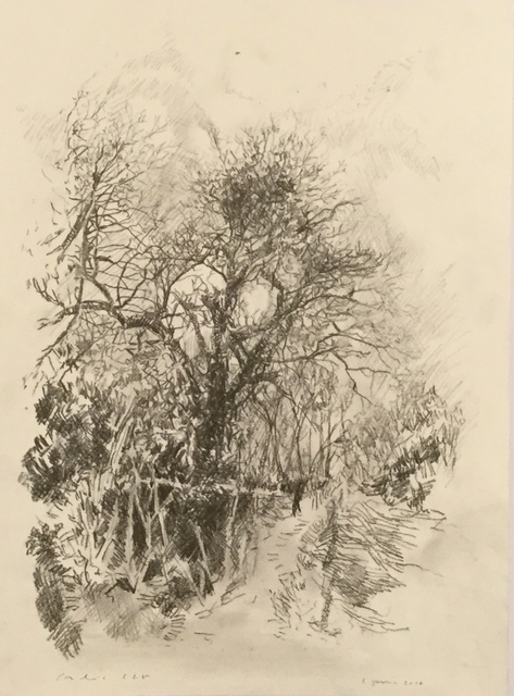 Frédéric Clot, ‘Le tilleul, 2016’, 2016, Ditesheim & Maffei Fine Art