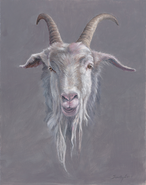 Timothy Barr, ‘Goat with Dreads’, 2017, Somerville Manning Gallery