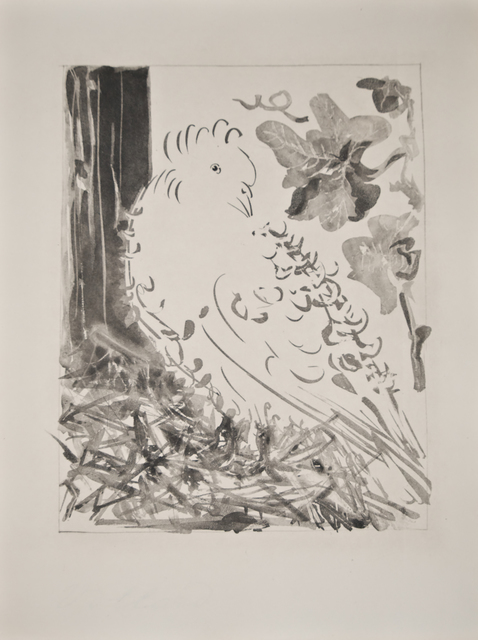 Pablo Picasso, ‘Le Pigeon (The Pigeon)’, 1936, Les Yeux du Monde Gallery
