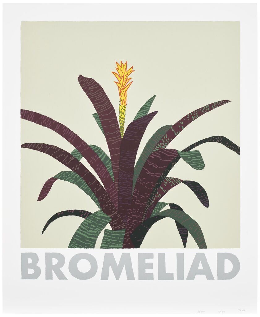 Jonas Wood - Bromeliad