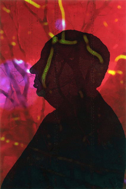 Fred Cray, ‘Double Printed Silhouettes ’, 2016, Janet Borden, Inc.
