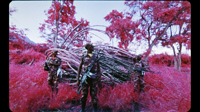 Richard Mosse, ‘The Enclave’, 2012, Video/Film/Animation, 1316mm infrared film transferred to HD video, National Gallery of Victoria