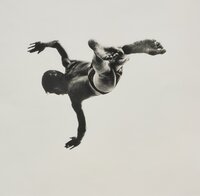 Pleasures and Terrors of Levitation, No. 37