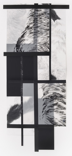 Laura Miranda, ‘SÉRIE ESTRELA CANINA – ECG-05’, 2016, Dan Galeria