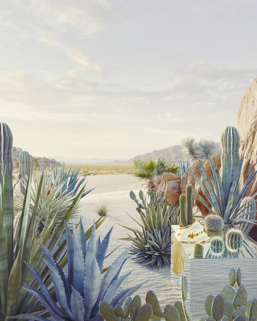 Dean West, ‘Still Life # 1 (Desert Oasis) Requiem’, 2018, Echo Fine Arts