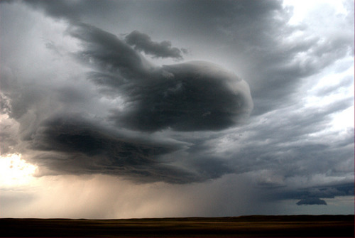 Ward Davenny, ‘Angelic Cloud’, 2011, Photography, Digitally printed pigment-based photograph, Seraphin Gallery