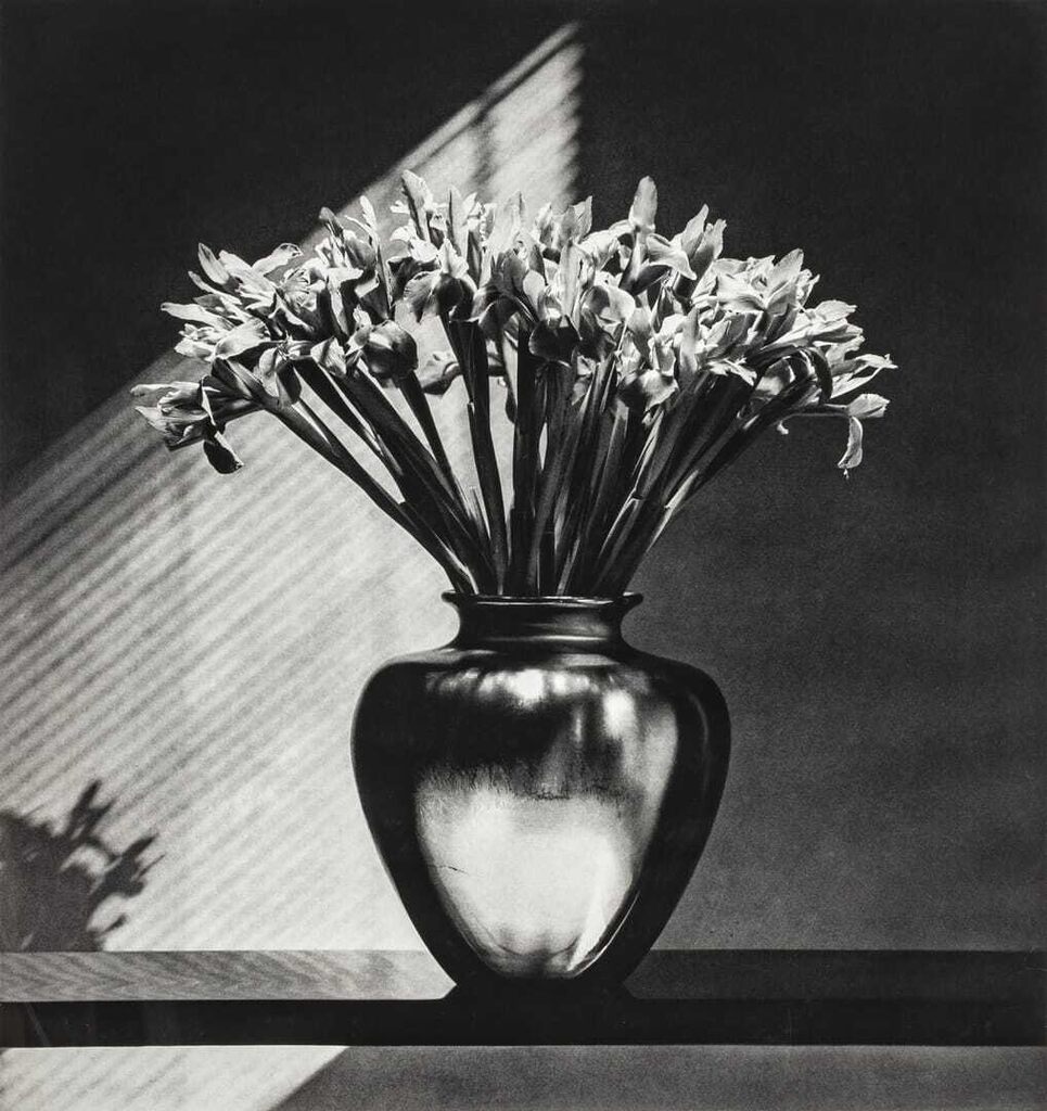 Robert Mapplethorpe - Irises